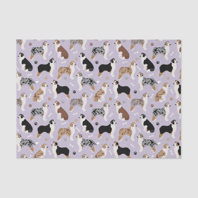 Australian Shepherd Bones and Paws Tissue Paper (Front)