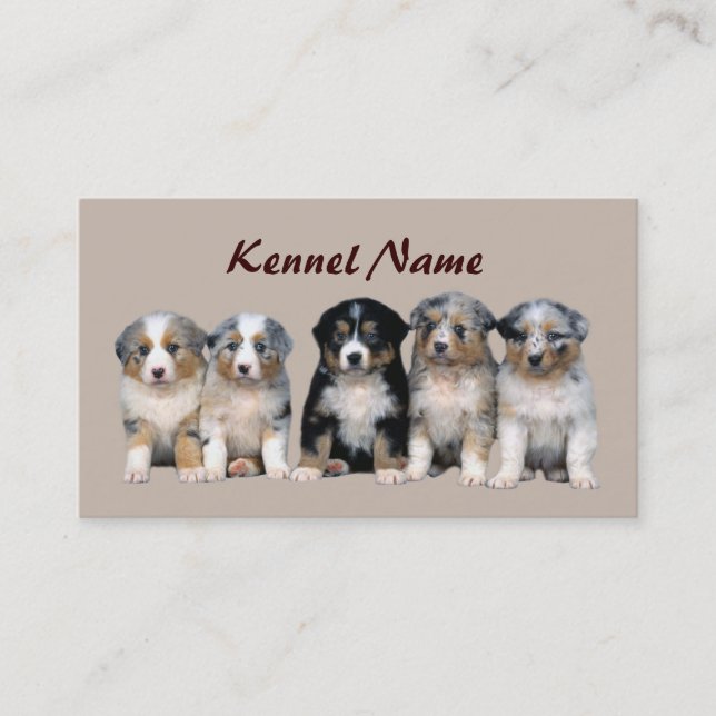 Australian Shepherd Breeder Business Card (Front)