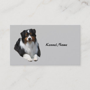 Australian Shepherd Breeder Business Card