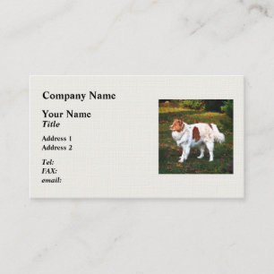 Australian Shepherd Business Card