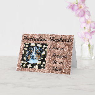 Australian Shepherd Card