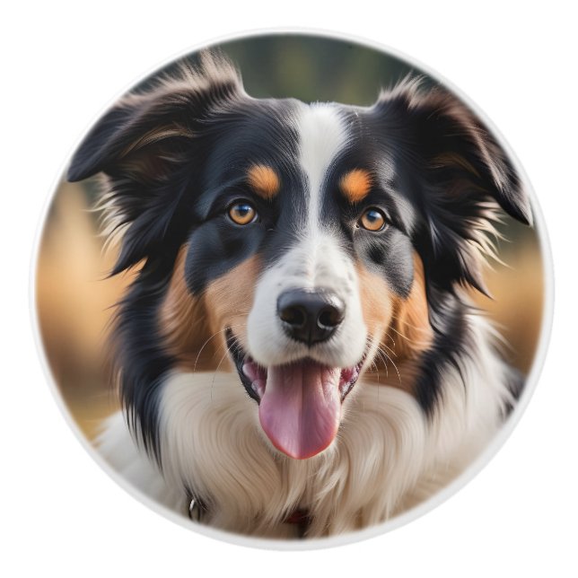 Australian Shepherd Ceramic Cute Dog Knob (Front)