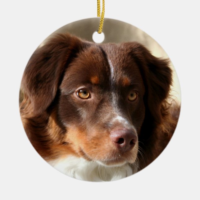 Australian Shepherd Ceramic Tree Decoration (Front)