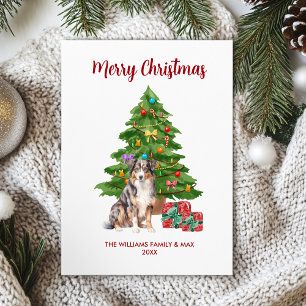Australian Shepherd Christmas Card