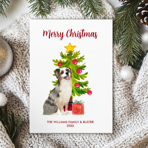 Australian Shepherd Christmas Card