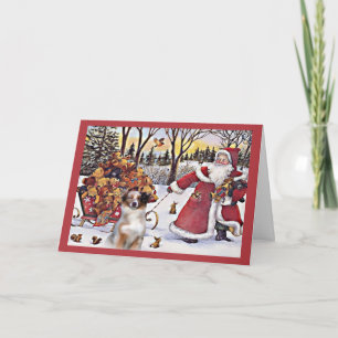 Australian Shepherd Christmas Card Santa Bears In