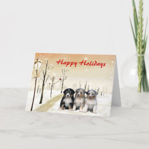 Australian Shepherd Christmas Card Urban