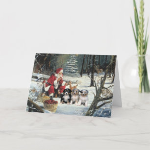 Australian Shepherd Christmas Card Woods