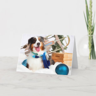 Australian Shepherd Christmas Greeting Cards