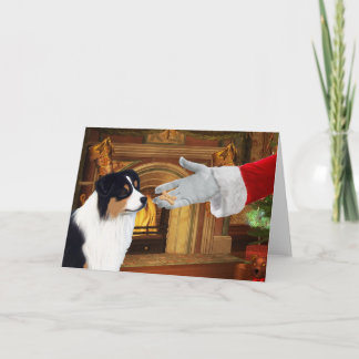 Australian Shepherd Christmas Holiday Card