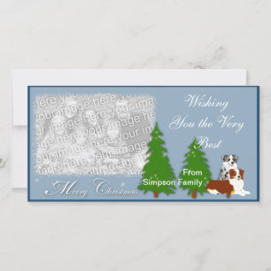 Australian Shepherd Christmas Holiday Card