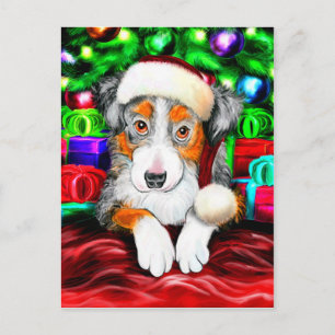Australian Shepherd Christmas Open Gifts Holiday Postcard
