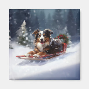 Australian Shepherd Christmas snow winter Magnet