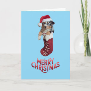 Australian Shepherd Christmas Stocking Card