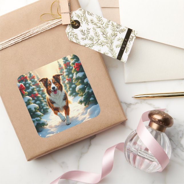 Australian Shepherd Christmas Tree Farm Painting Square Sticker (Gifting)