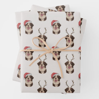Australian shepherd Christmas wrapping paper