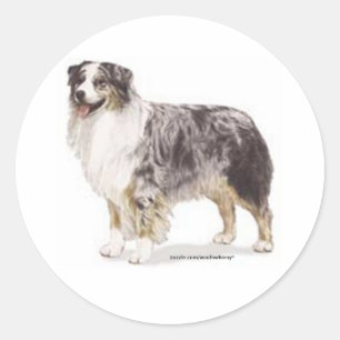 Australian Shepherd Classic Round Sticker