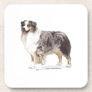 Australian Shepherd Coaster