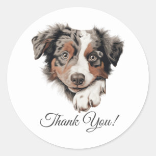 Australian Shepherd Cute Dog Thank You Classic Round Sticker