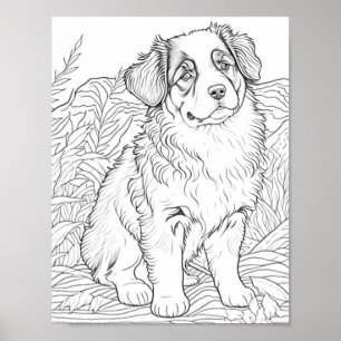 Australian Shepherd Dog Adult Coloring Poster