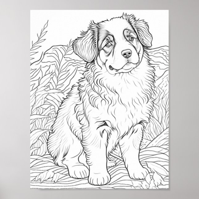 Australian Shepherd Dog Adult Colouring Poster (Front)