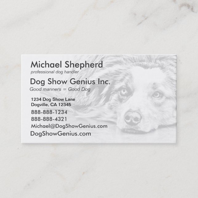 Australian Shepherd dog art Business Card (Front)