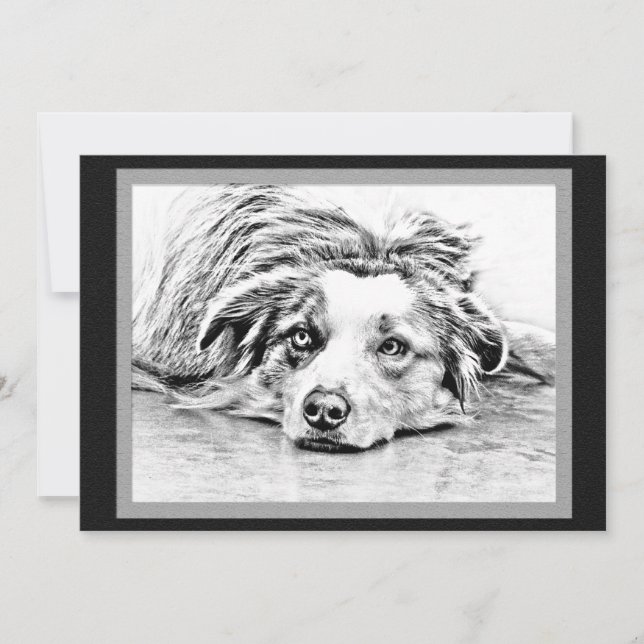 Australian Shepherd dog art Invitation (Front)