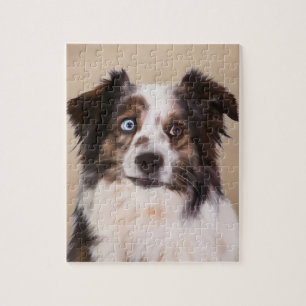 Australian Shepherd Dog Art Jigsaw Puzzle