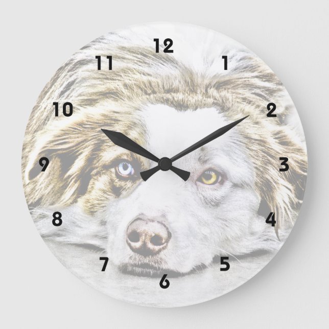 Australian Shepherd dog art Large Clock (Front)