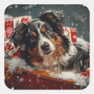 Australian Shepherd Dog Christmas Festive Square Sticker