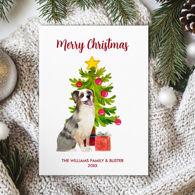 Australian Shepherd Dog Christmas Holiday Card (Creator Uploaded)