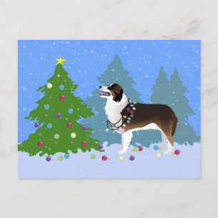 Australian Shepherd Dog Decorating Christmas Tree Holiday Postcard