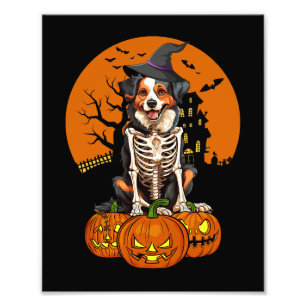 Australian Shepherd Dog Halloween Photo Print