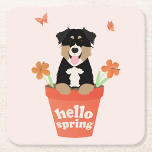 Australian Shepherd Dog In Flower Pot Square Paper Coaster