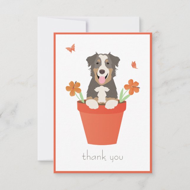 Australian Shepherd Dog In Flower Pot Thank You Card (Front)