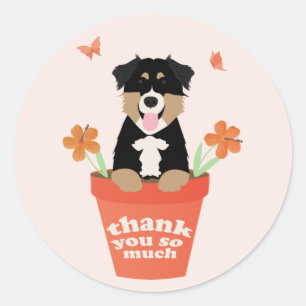 Australian Shepherd Dog In Flower Pot Thank You Classic Round Sticker