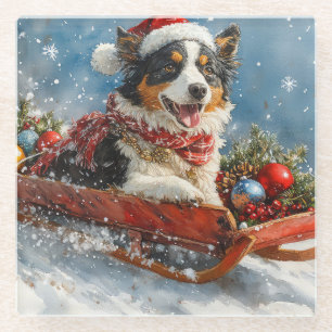 Australian Shepherd Dog in Sledge Chriistmas Glass Coaster