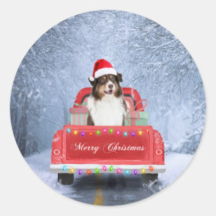Australian Shepherd Dog in Snow Christmas Classic Round Sticker