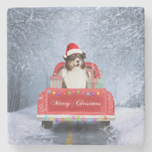 Australian Shepherd Dog in Snow Christmas  Stone Coaster