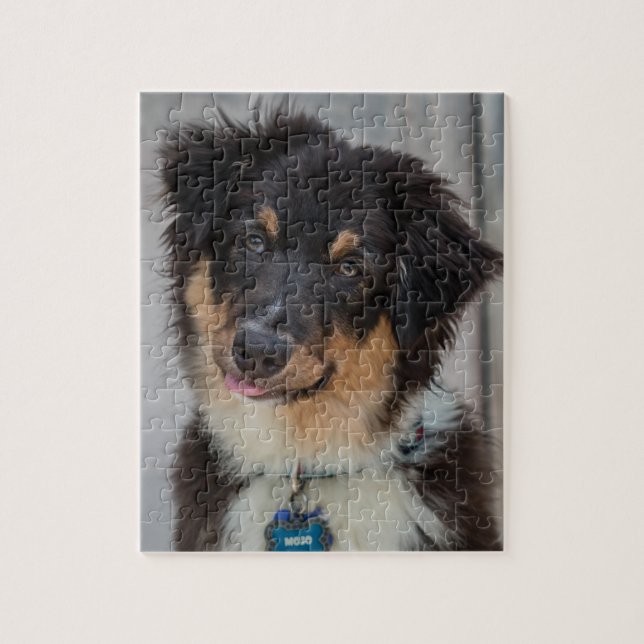 Australian Shepherd Dog Jigsaw Puzzle (Vertical)