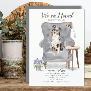 Australian Shepherd Dog   Moving Announcement