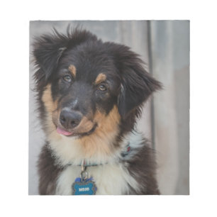 Australian Shepherd Dog Notepad