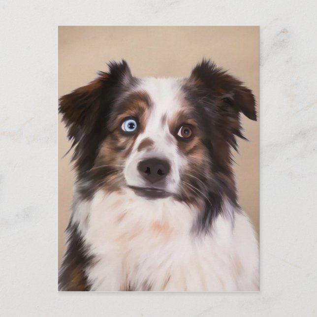 Australian Shepherd Dog Oil Painting Art Postcard (Front)
