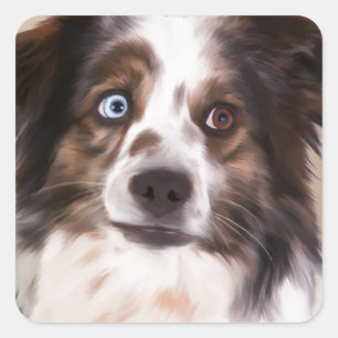 Australian Shepherd Dog Oil Painting Art Square Sticker