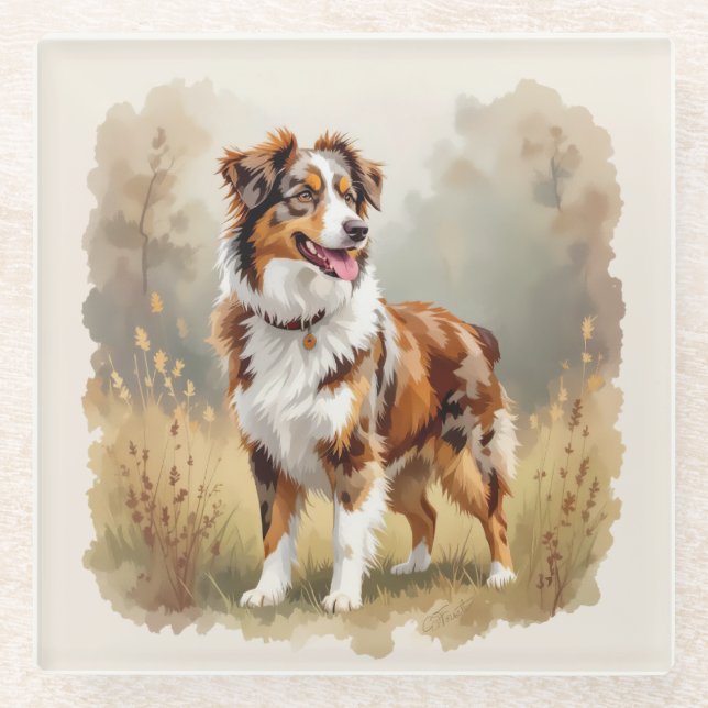 Australian Shepherd Dog Red Merle Aussie Glass Coaster (Front)