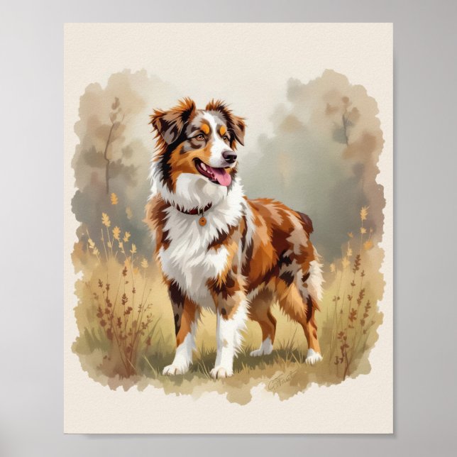 Australian Shepherd Dog Red Merle Aussie Poster (Front)