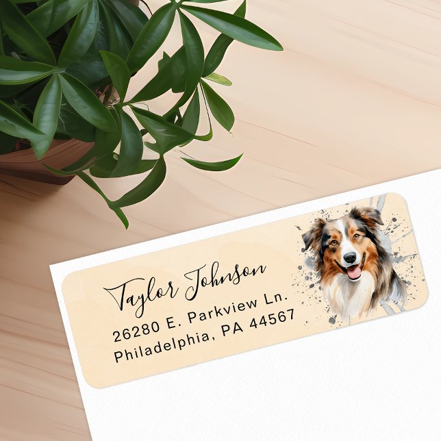 Australian Shepherd Dog Return Address (Creator Uploaded)