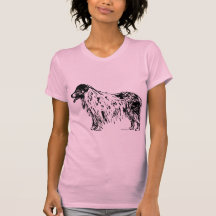 Australian Shepherd Dog