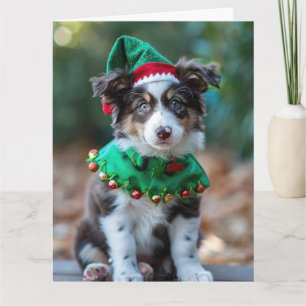 Australian Shepherd Elf Puppy Christmas Card 
