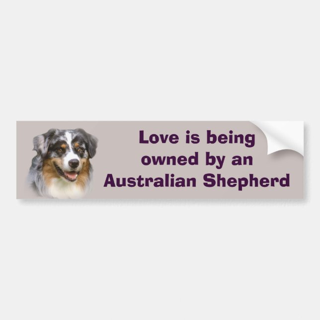 Australian Shepherd Fabulous Bumper Sticker (Front)